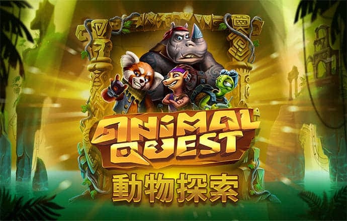 开玩棋牌官网